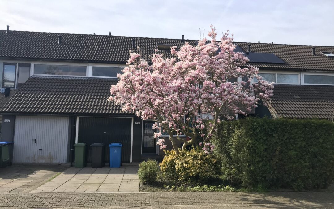 Binnenkort te koop in Essesteijn Populierendreef Voorburg