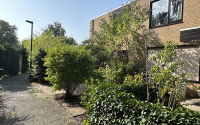 Rozentuin Essesteijn Voorburg binnenkort te koop