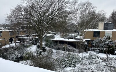 Waterschade door dikke laag sneeuw op het dak?